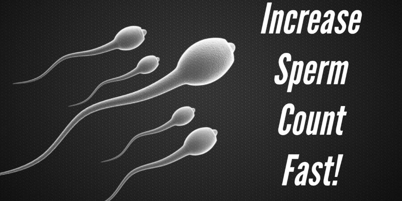 How_to_increase_sperm_count1.jpg